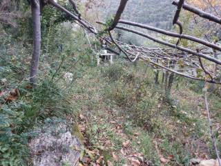 Terreno agricolo in vendita a bogliasco via guglielmo marconi