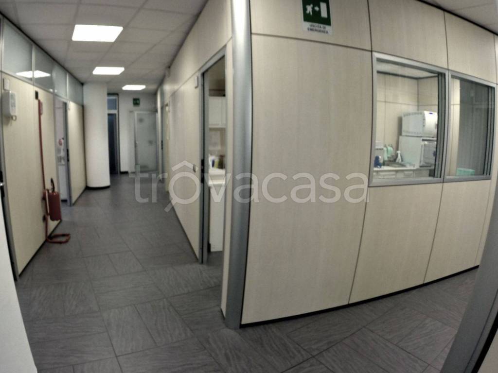 immagine annuncio 3 di 12