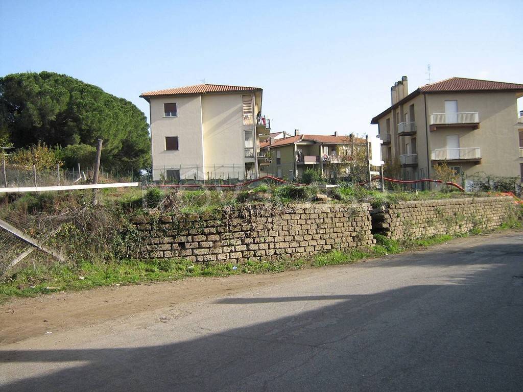 immagine annuncio 6 di 8