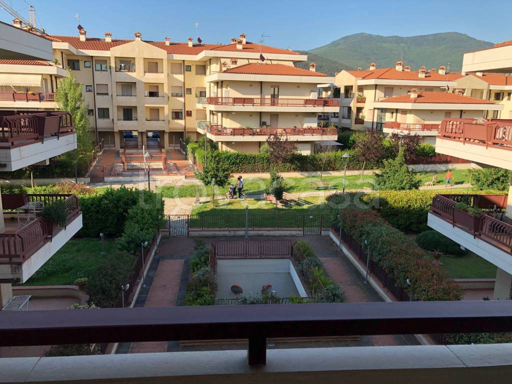 immagine annuncio 11 di 14