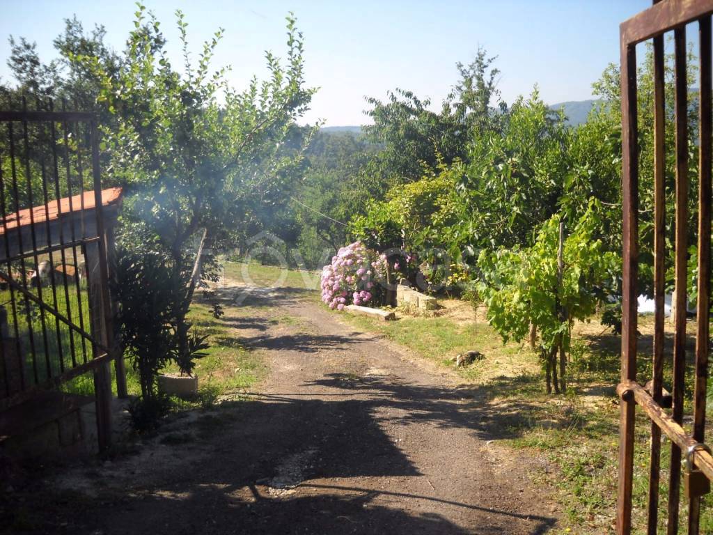 Terreno Residenziale in vendita a Soveria Mannelli località Nicuzzo