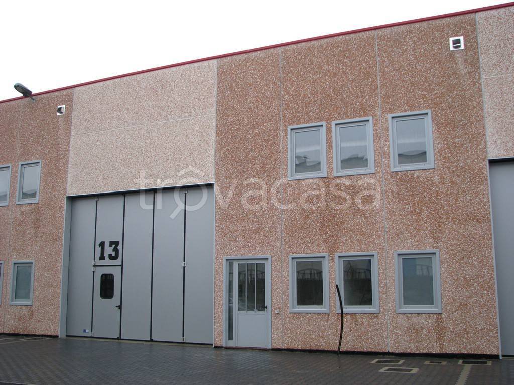 immagine annuncio 9 di 15