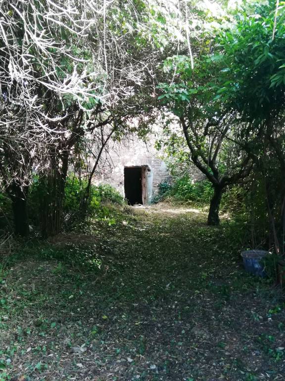 immagine annuncio 10 di 13