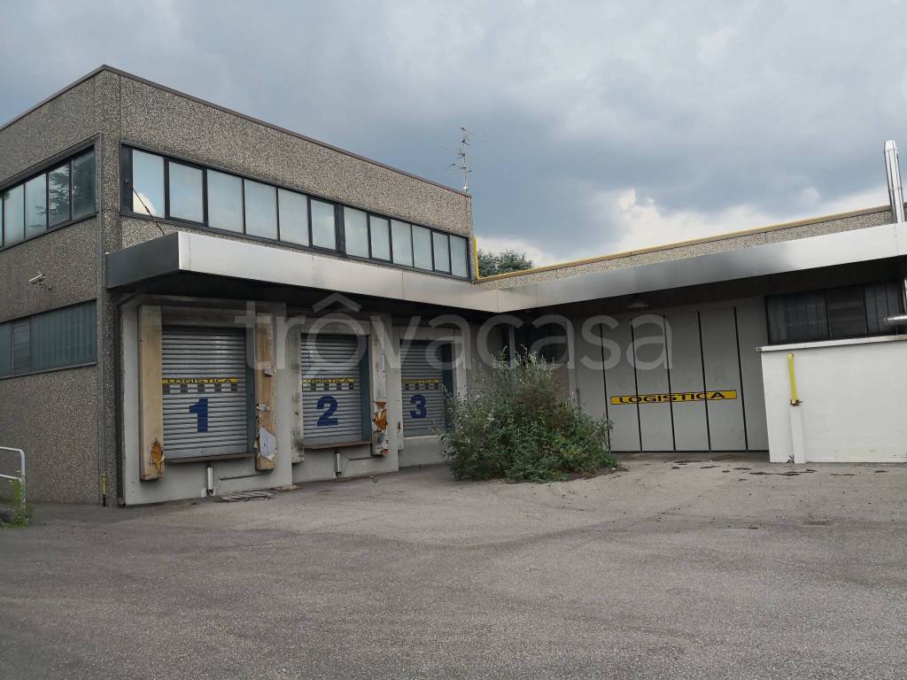 immagine annuncio 1 di 11