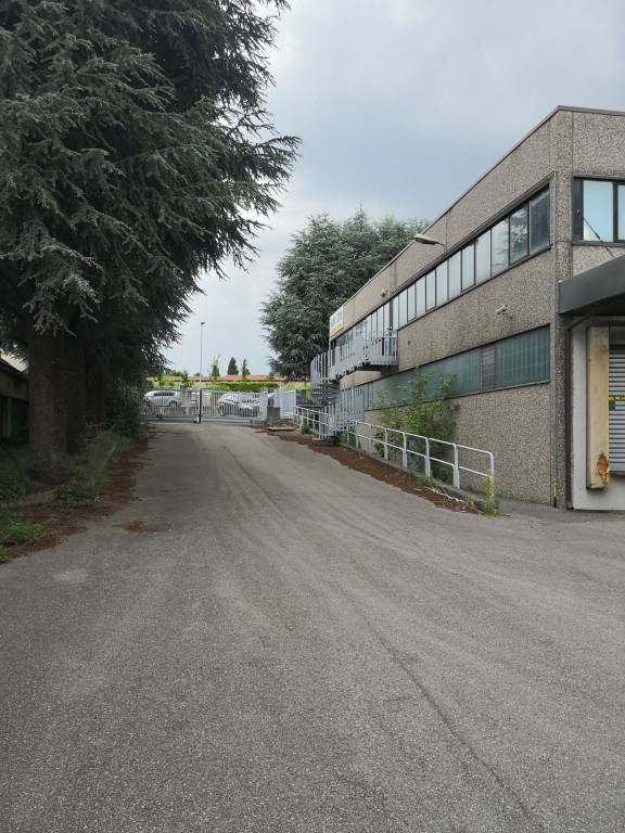 immagine annuncio 2 di 11