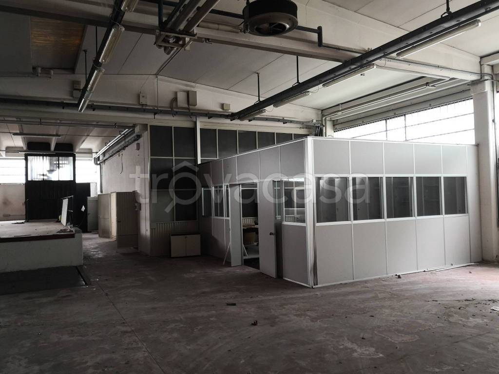 immagine annuncio 8 di 11