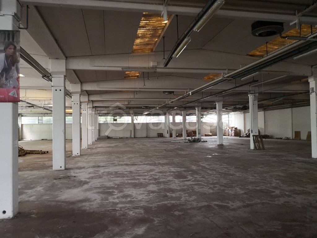 immagine annuncio 9 di 11