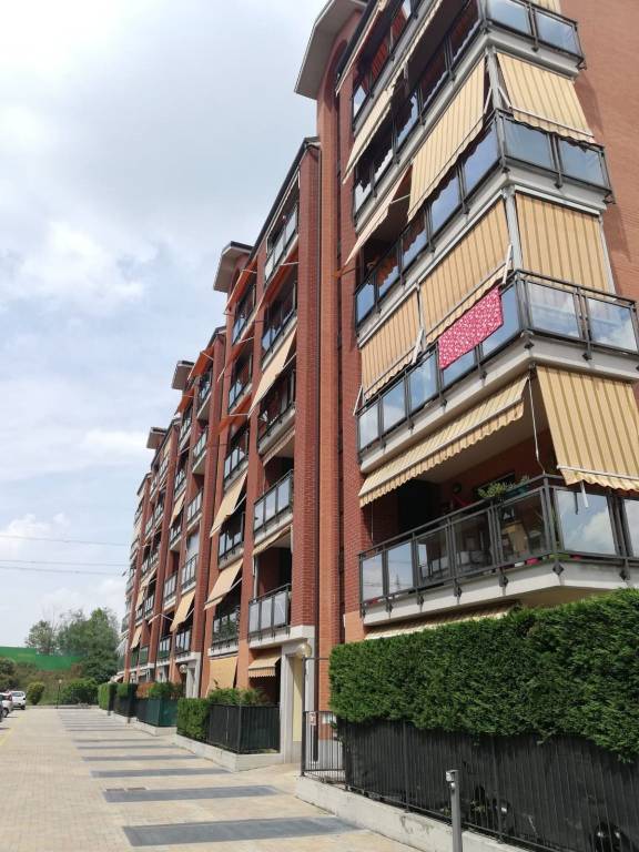 immagine annuncio 6 di 15