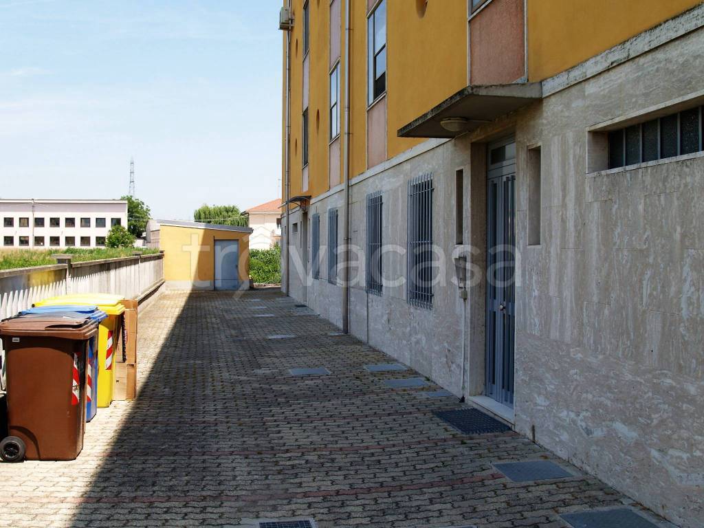 immagine annuncio 4 di 15