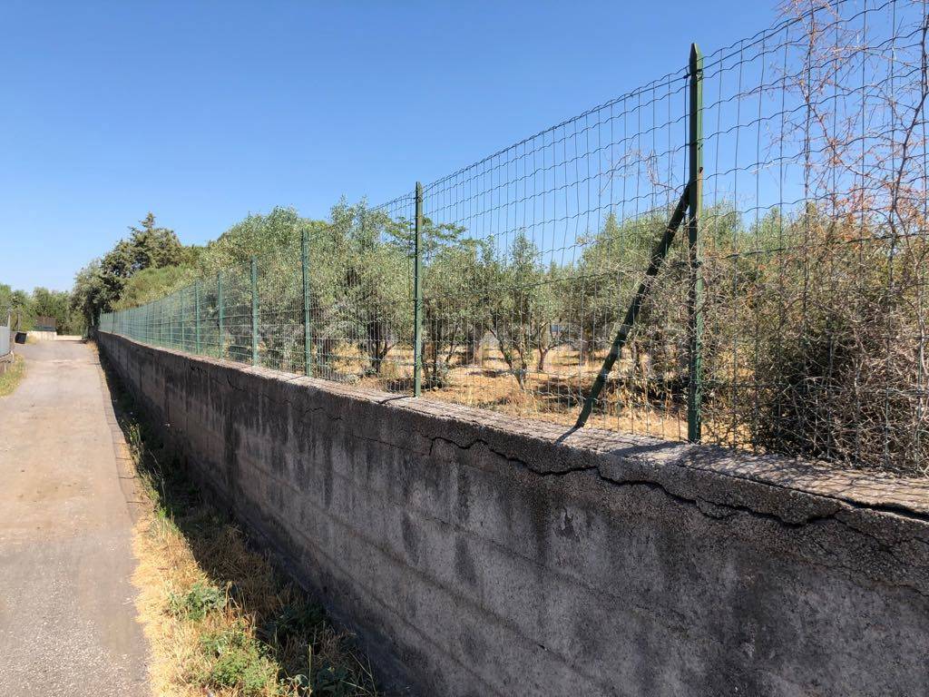 immagine annuncio 8 di 12