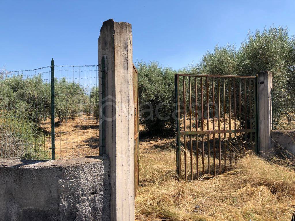 immagine annuncio 10 di 12