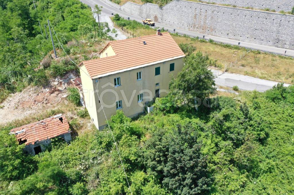 immagine annuncio 7 di 11
