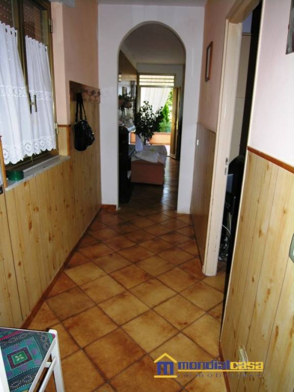 immagine annuncio 4 di 14