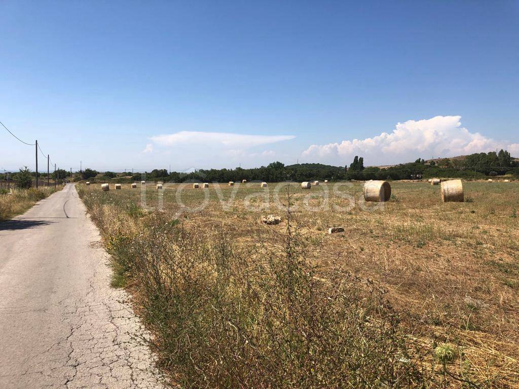 Terreno Agricolo in vendita a Civitavecchia strada Provinciale Sassicari