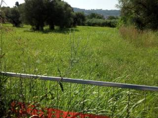 Terreno residenziale in affitto a montesilvano via volga