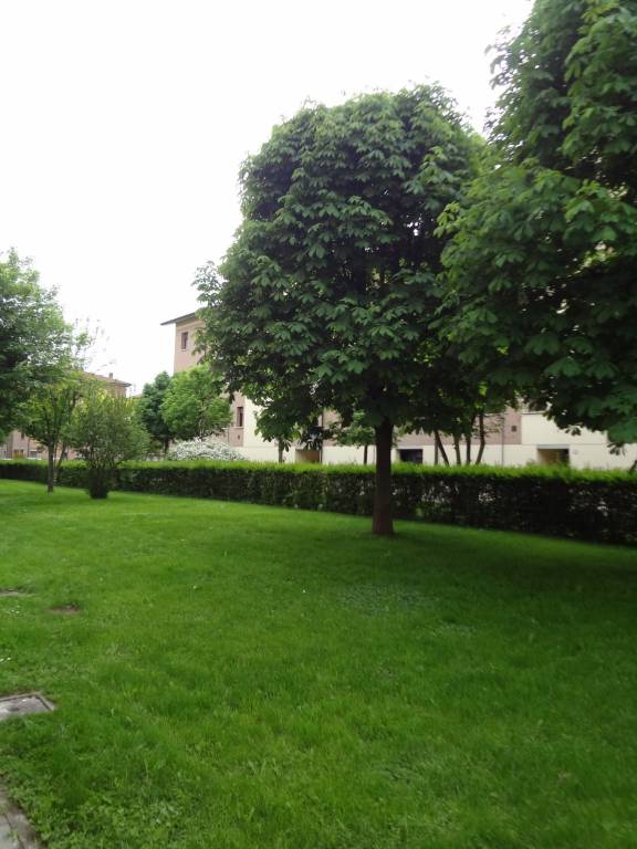 immagine annuncio 6 di 7
