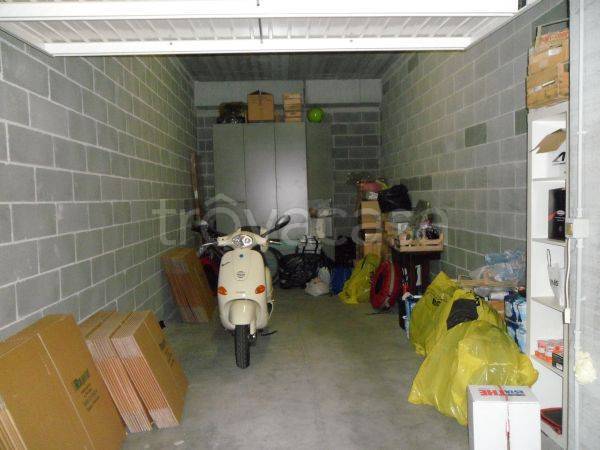 immagine annuncio 2 di 12