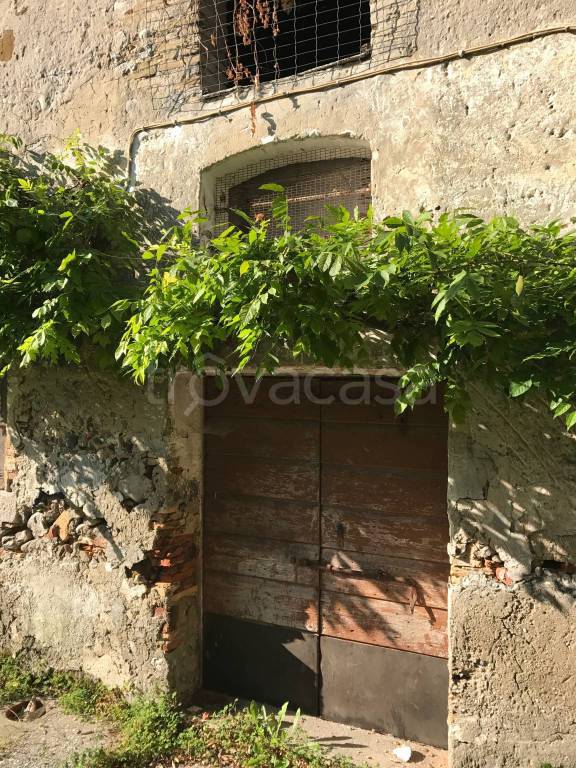 immagine annuncio 7 di 14