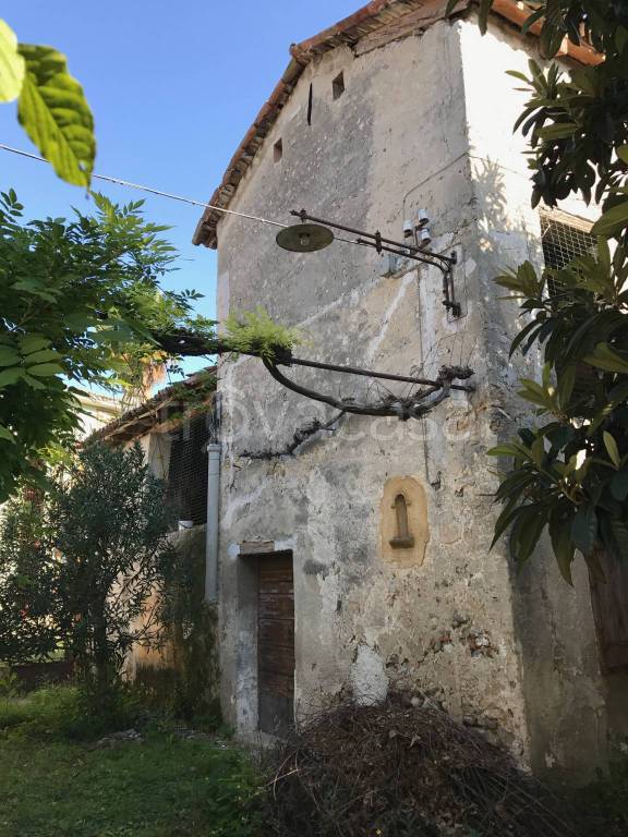immagine annuncio 9 di 14