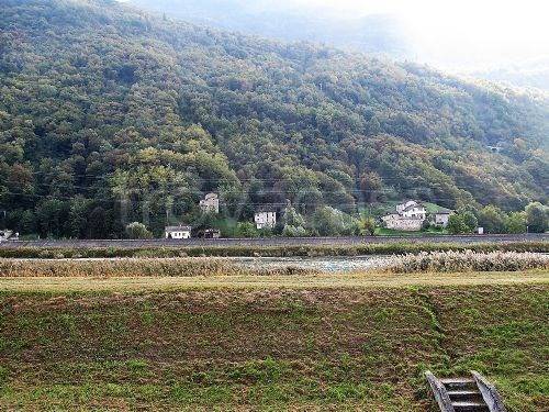 immagine annuncio 12 di 14