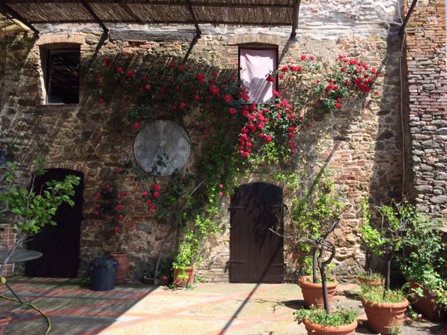 Appartamento in in vendita da privato a Magliano in Toscana vicolo della Pergola, 6