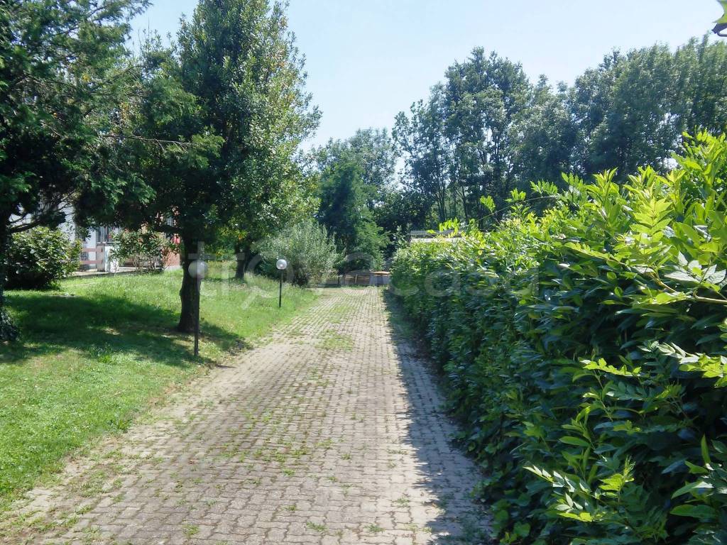 immagine annuncio 8 di 11