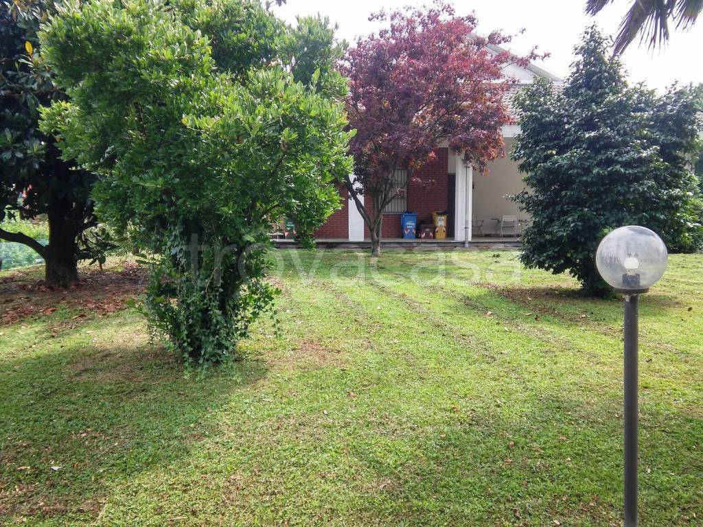 immagine annuncio 4 di 11