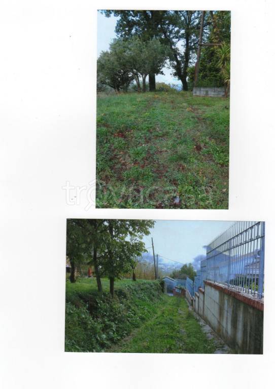 Terreno Agricolo in vendita a Lauria contrada Capraro