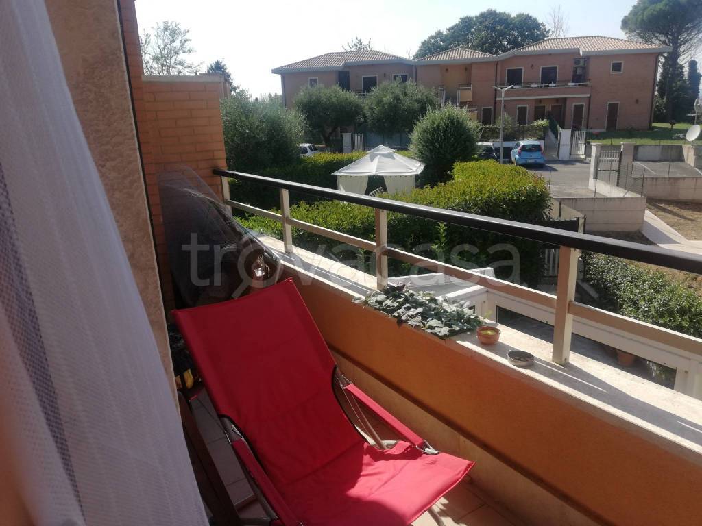 immagine annuncio 6 di 11