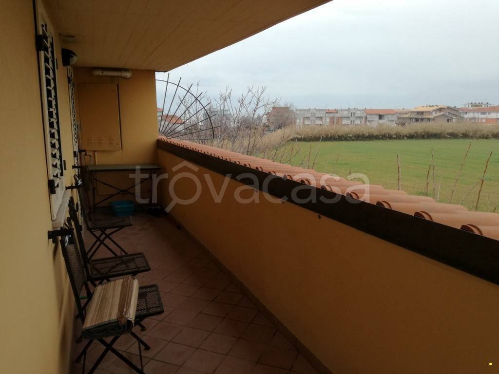 immagine annuncio 10 di 13