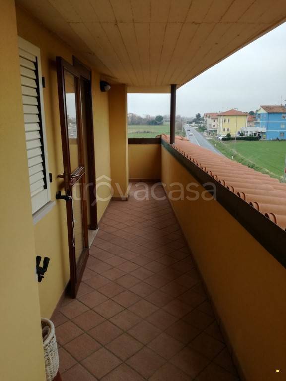 immagine annuncio 9 di 13