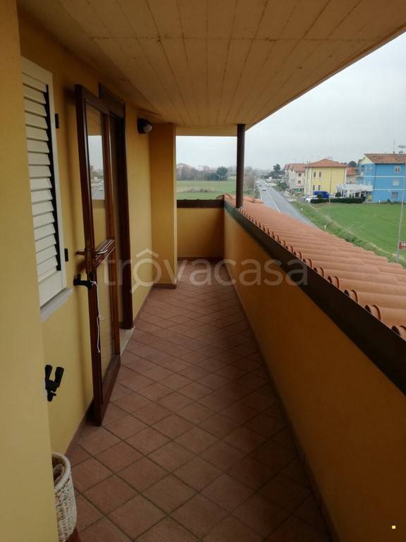 immagine annuncio 8 di 13