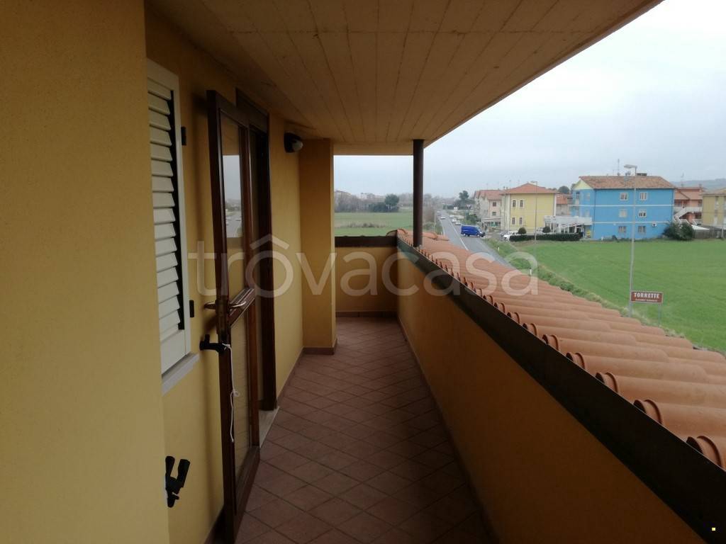 immagine annuncio 7 di 13