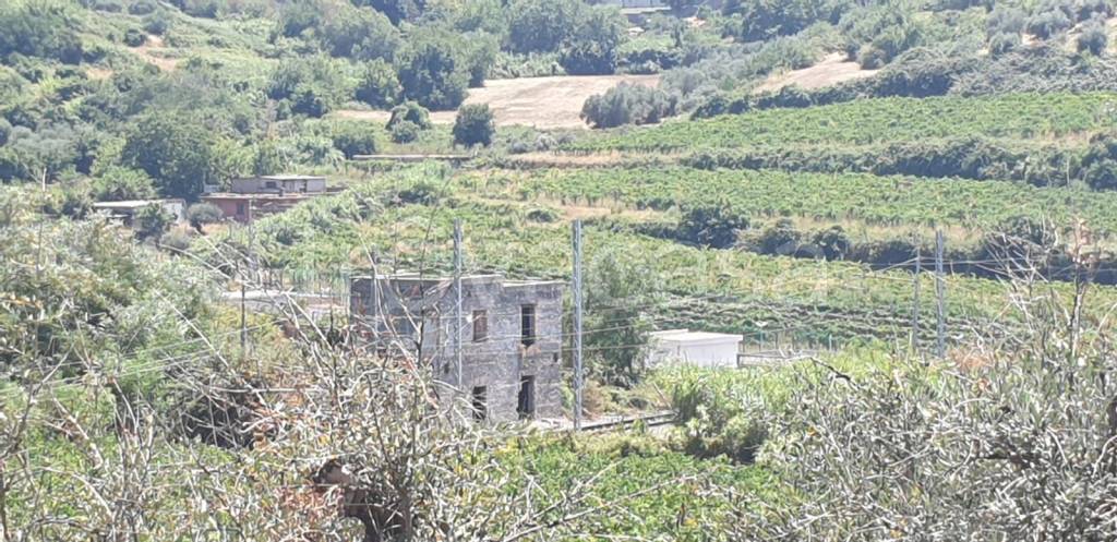 Terreno Agricolo in vendita a Grottaferrata via Castel De Paolis