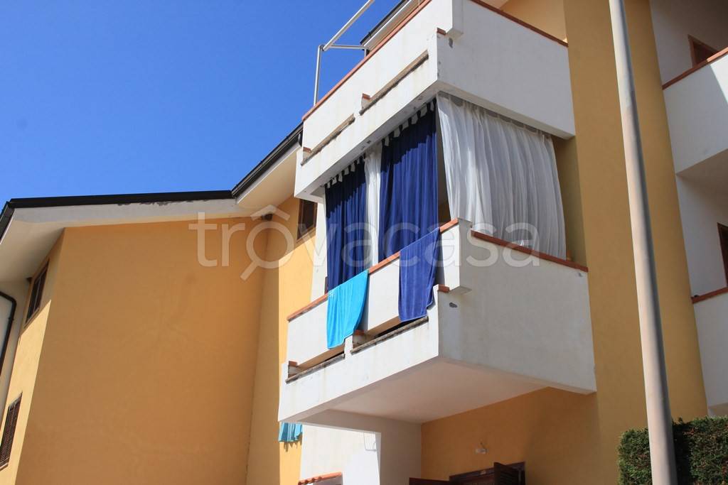 immagine annuncio 9 di 12
