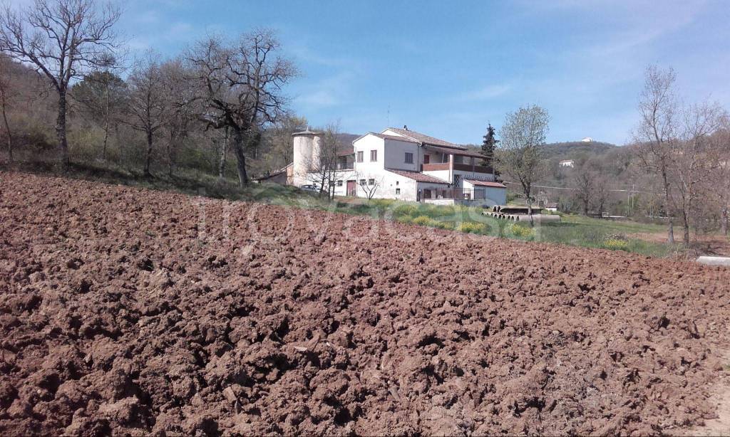 Terreno Agricolo in vendita a Moliterno ss103