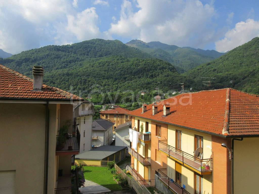 immagine annuncio 1 di 13