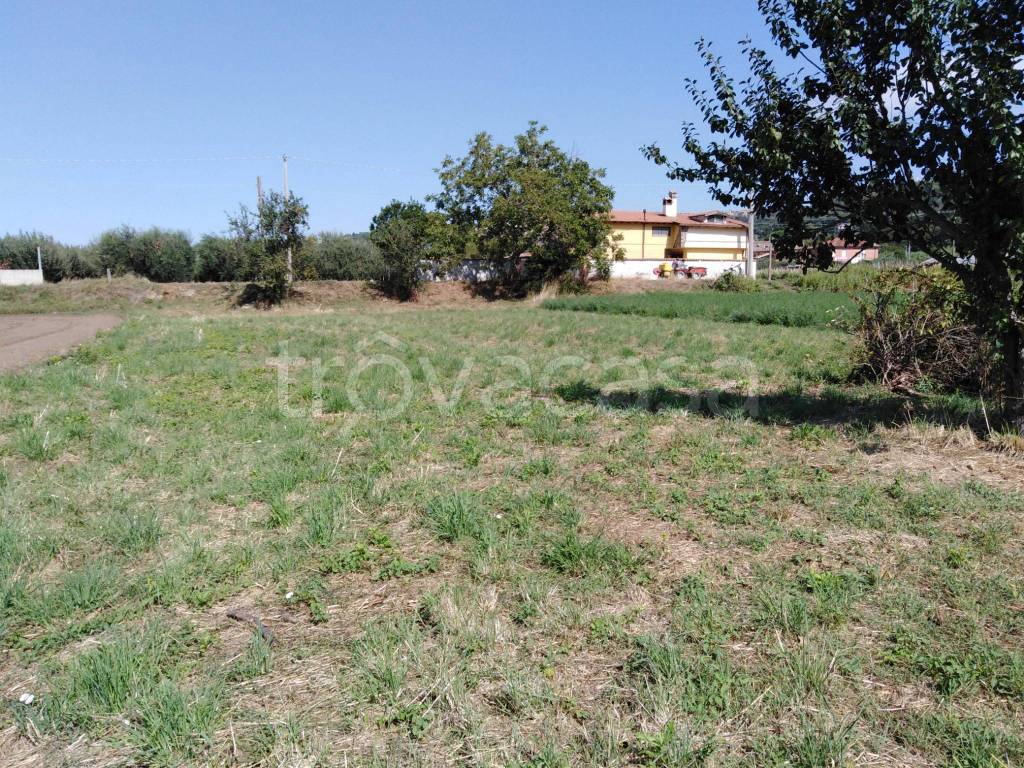 immagine annuncio 5 di 9