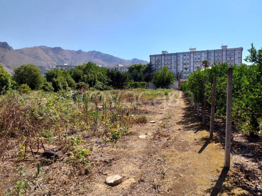 Terreno Agricolo in vendita a Palermo via Fichidindia, 15