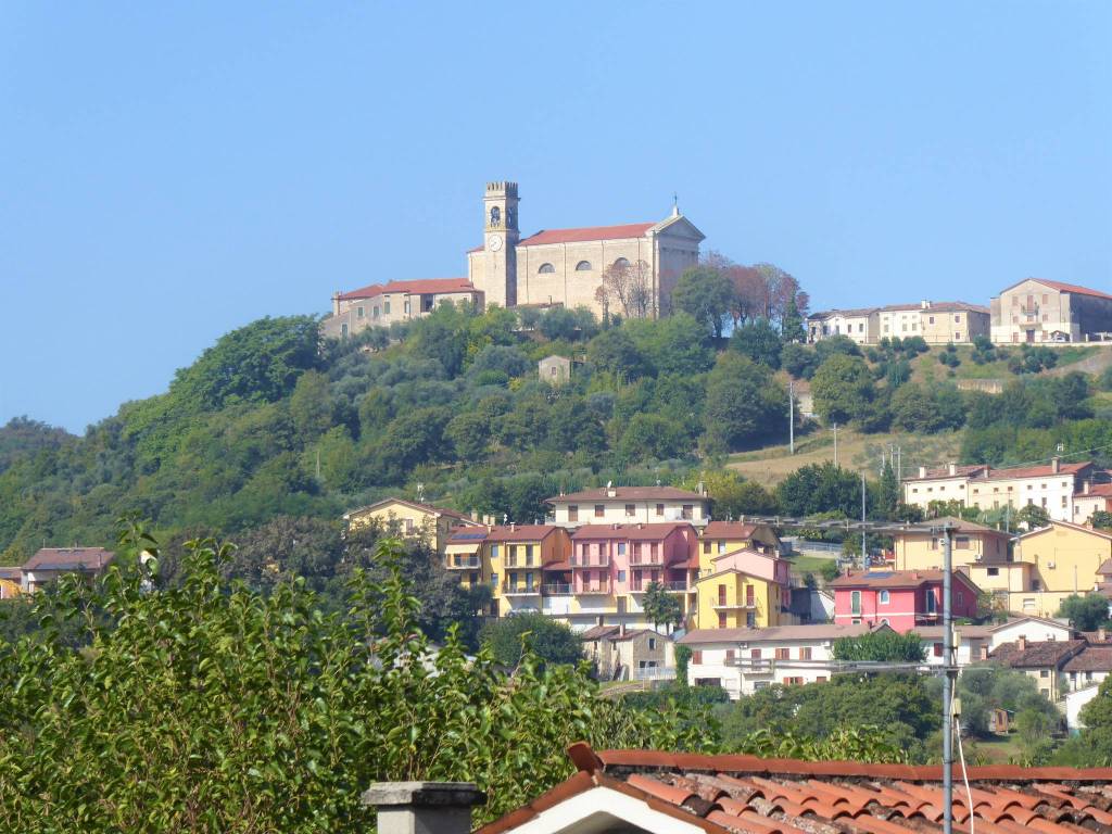 immagine annuncio 2 di 12
