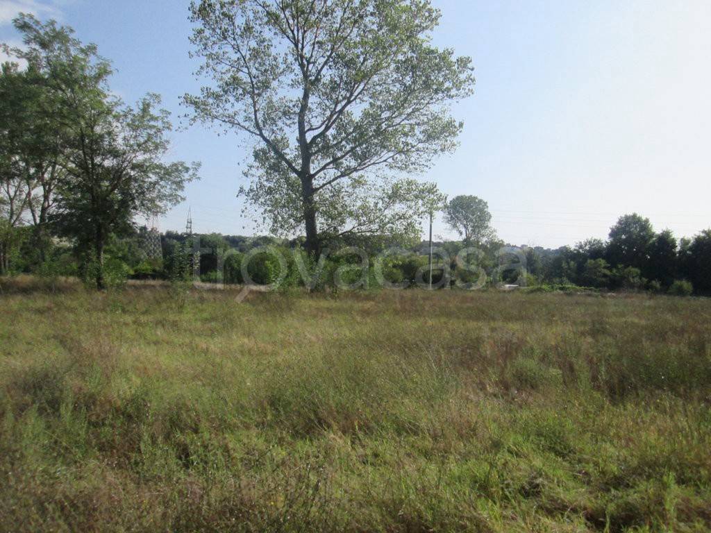 Terreno Agricolo in vendita a Ovada strada Voltri