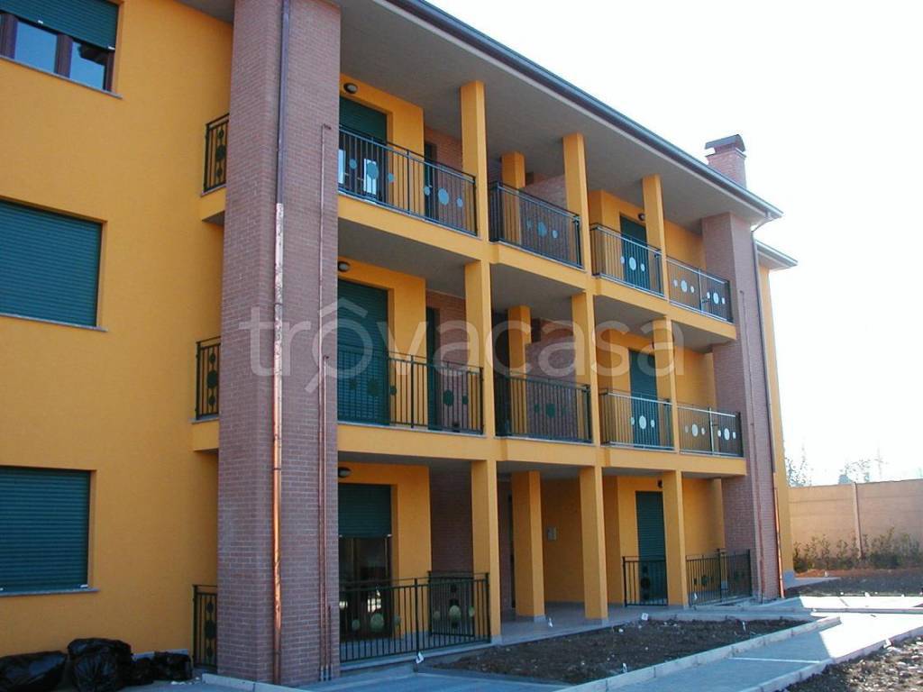 immagine annuncio 4 di 8