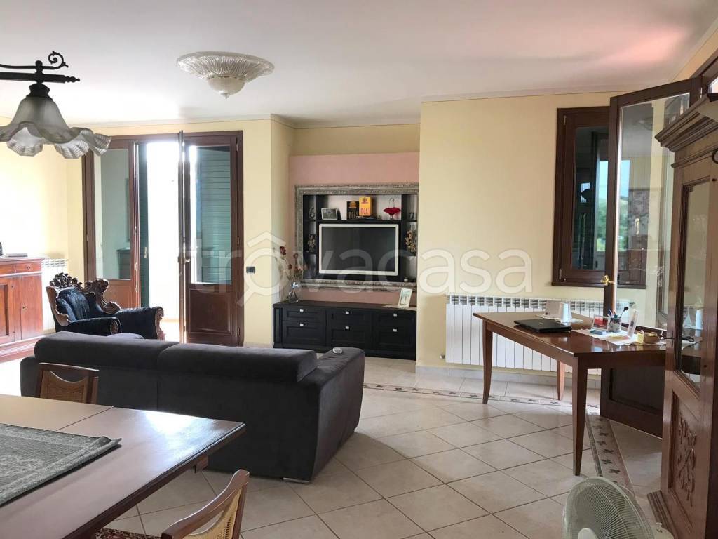 immagine annuncio 2 di 14