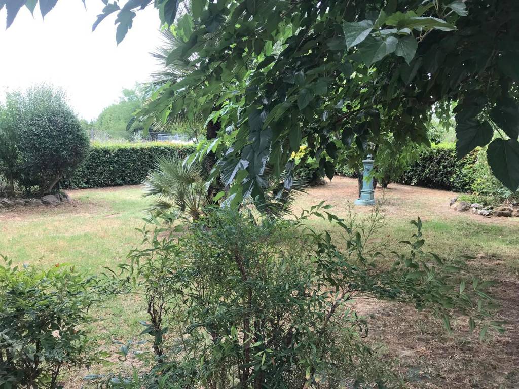 immagine annuncio 12 di 14