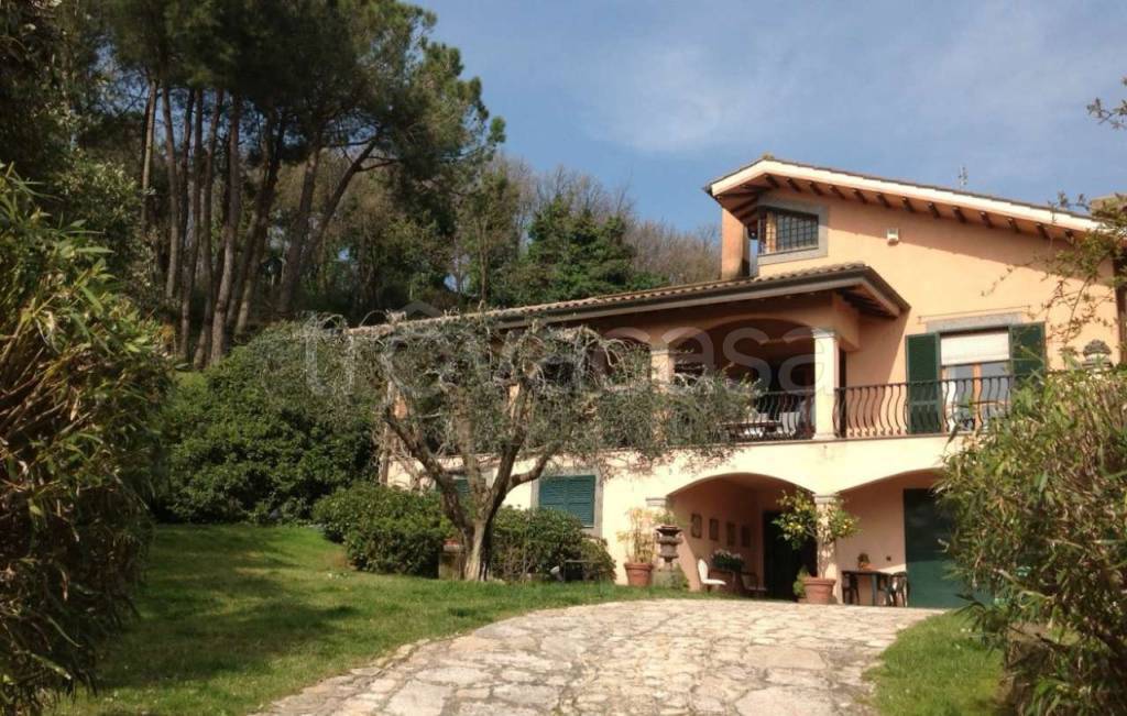 immagine annuncio 10 di 11