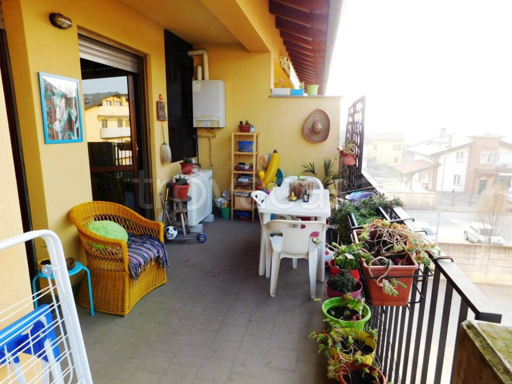 immagine annuncio 10 di 14