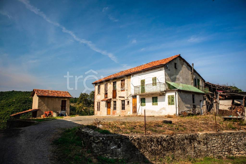 immagine annuncio 6 di 11