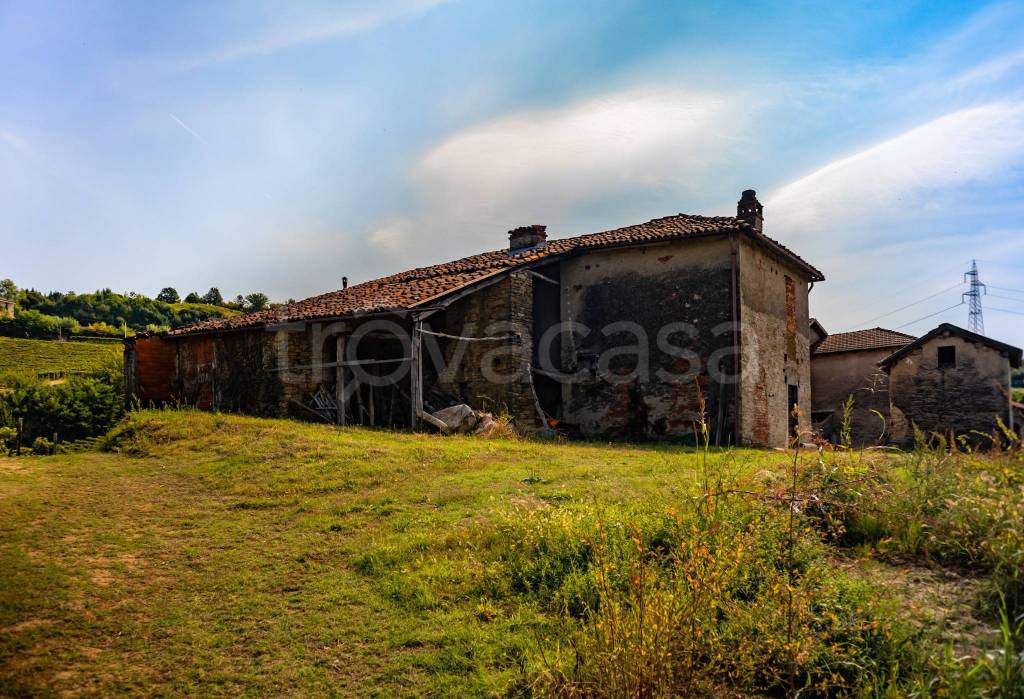 immagine annuncio 9 di 11