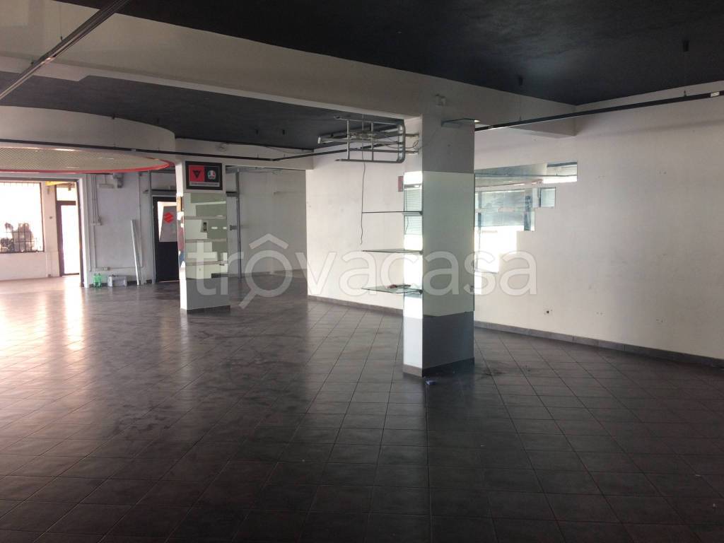 immagine annuncio 5 di 12