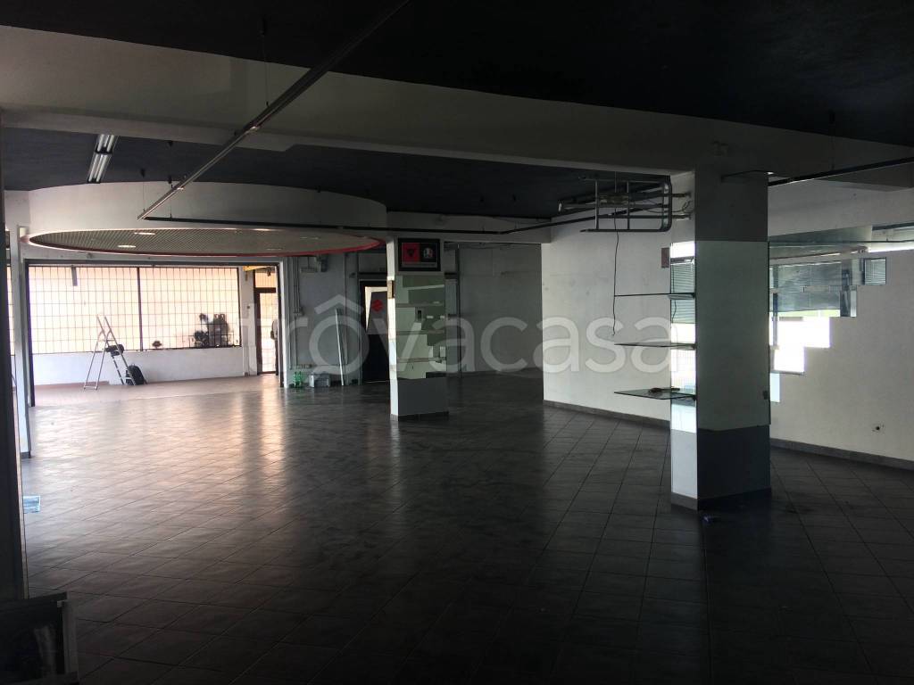 immagine annuncio 4 di 12